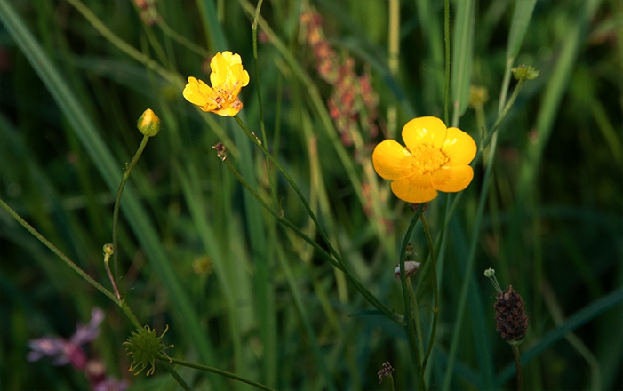 Copyright Gerlind Schiele Photography Tegernsee +49 (0) 170 - 908 85 85