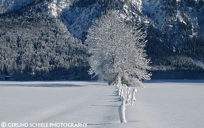 Copyright Gerlind Schiele Photography Tegernsee +49 (0) 170 - 908 85 85