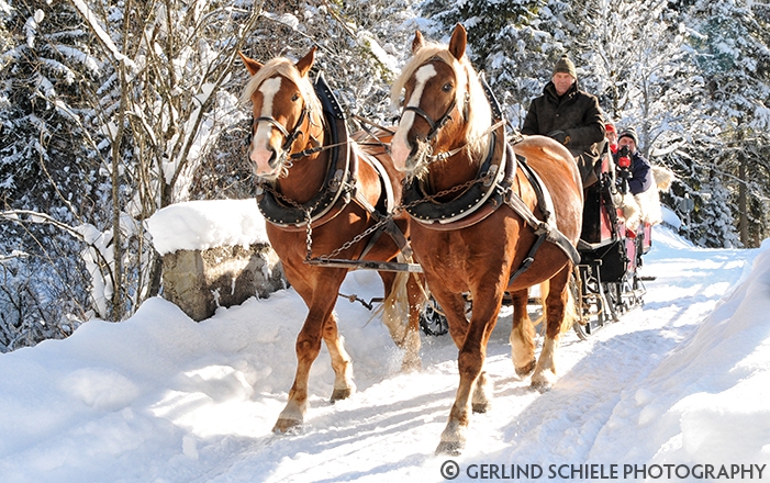 Copyright Gerlind Schiele Photography Tegernsee +49 (0) 170 - 908 85 85